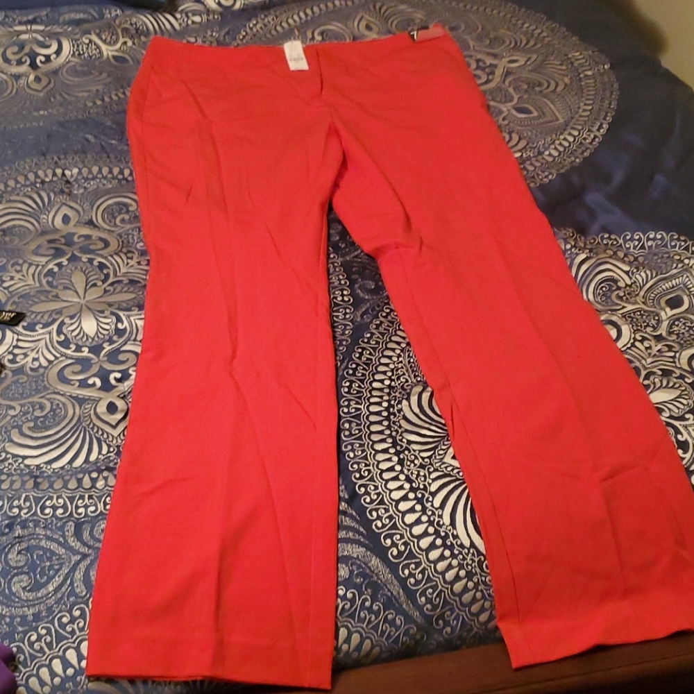 NY&C Pant